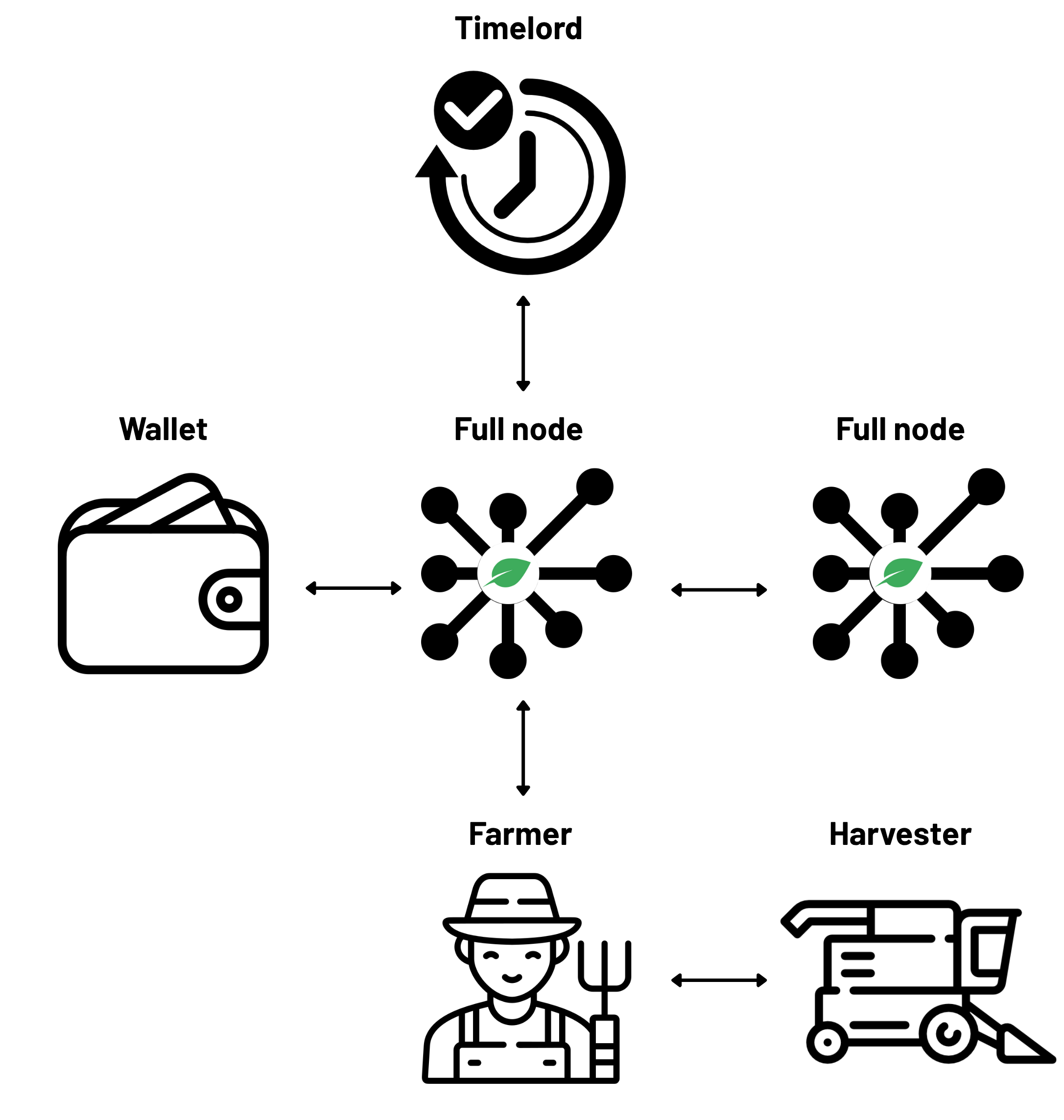 Green by Design? Investigating the Energy and Carbon Footprint of Chia Network