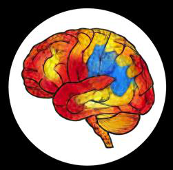 Fig 5