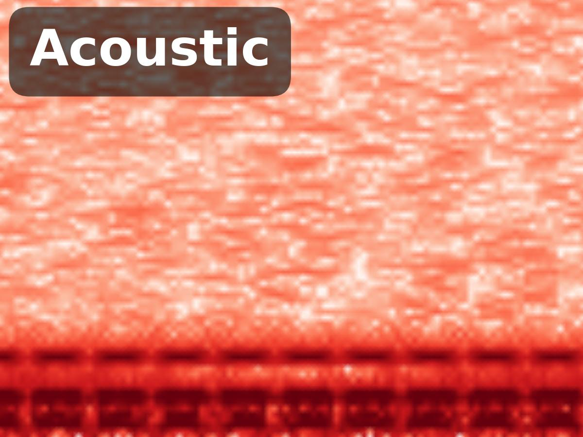 Fig 6