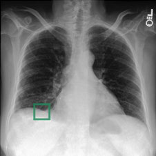 Fig 6