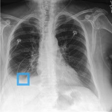 Fig 8