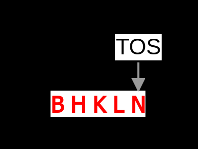 Fig 7