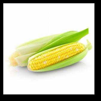 Fig 7