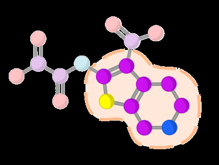 Fig 5