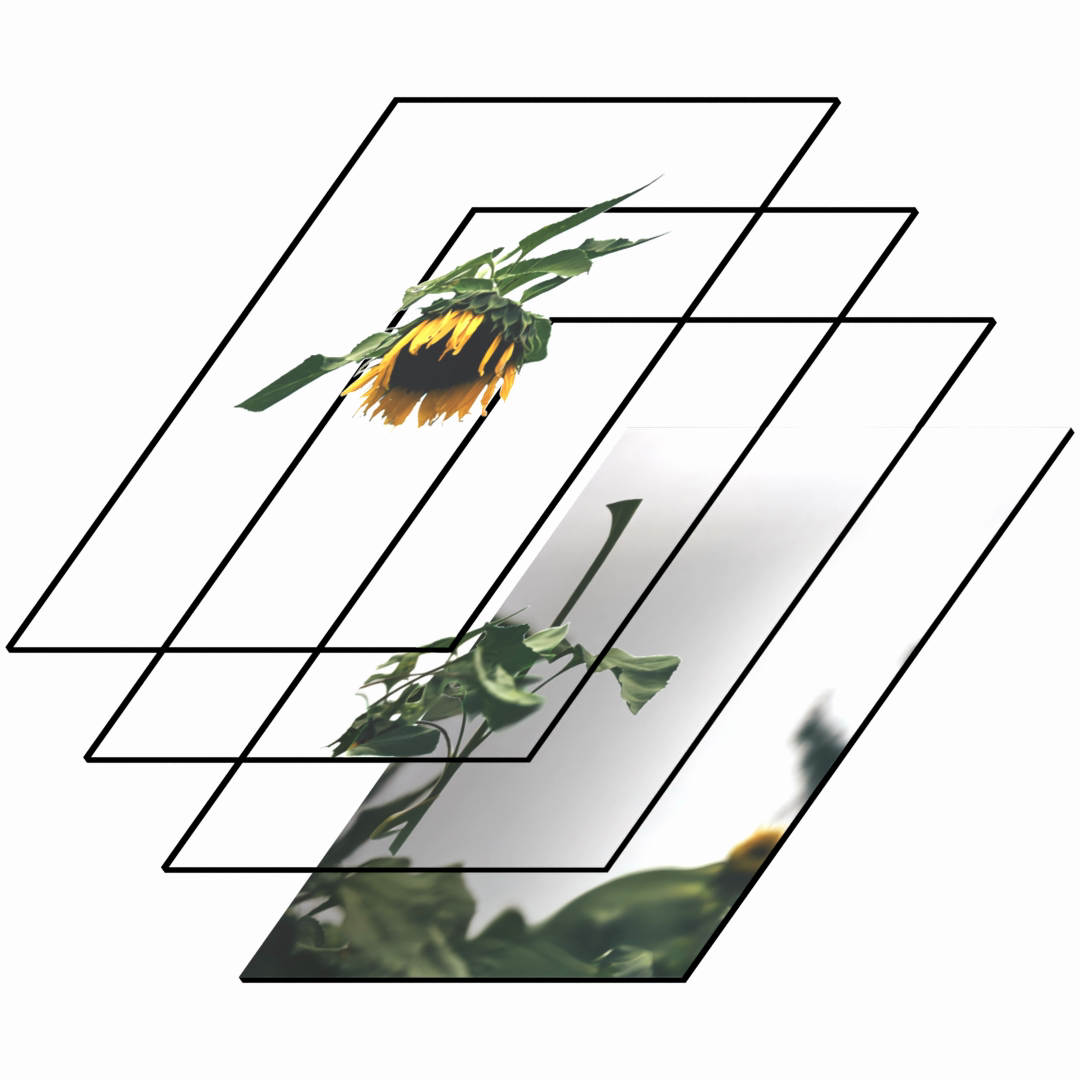 Fig 7