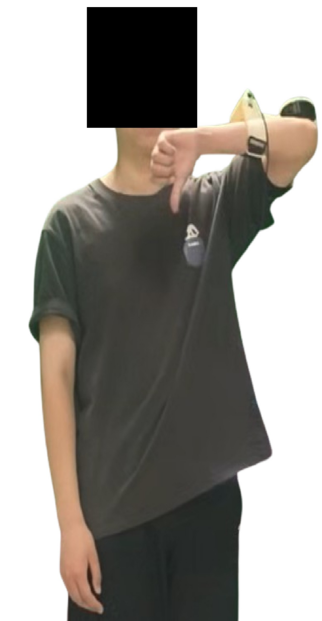 Fig 5