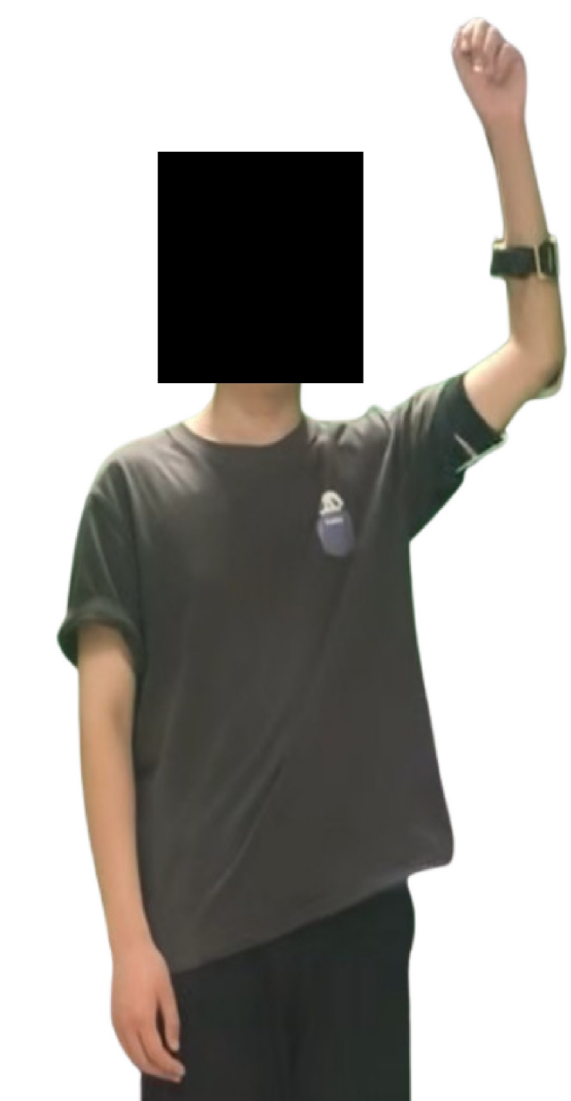 Fig 8