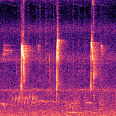 Fig 5