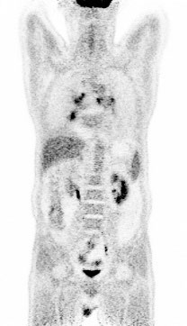 Fig 7