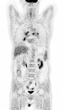 Fig 8