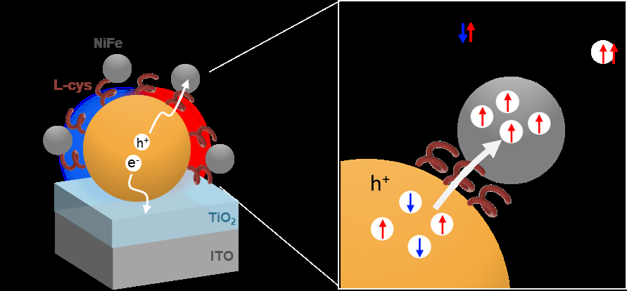 Fig 4