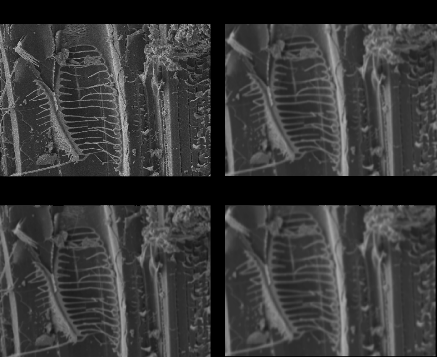 Fig 6
