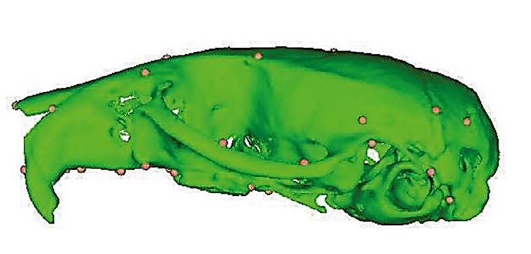 Fig 6