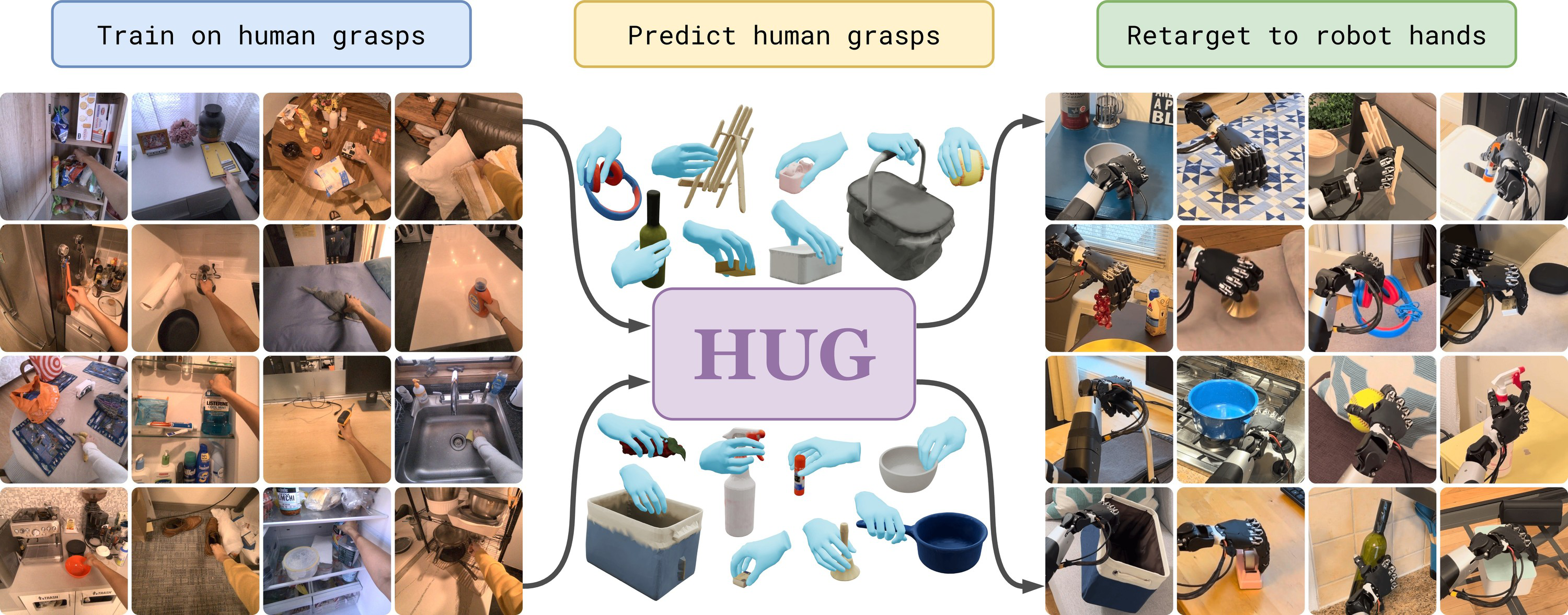 Human Universal Grasping