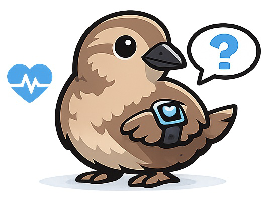 WEQA — Wearable hEalth Question Answering with Query-Adaptive Agentic Reasoning