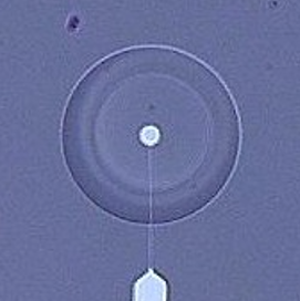 Fig 3