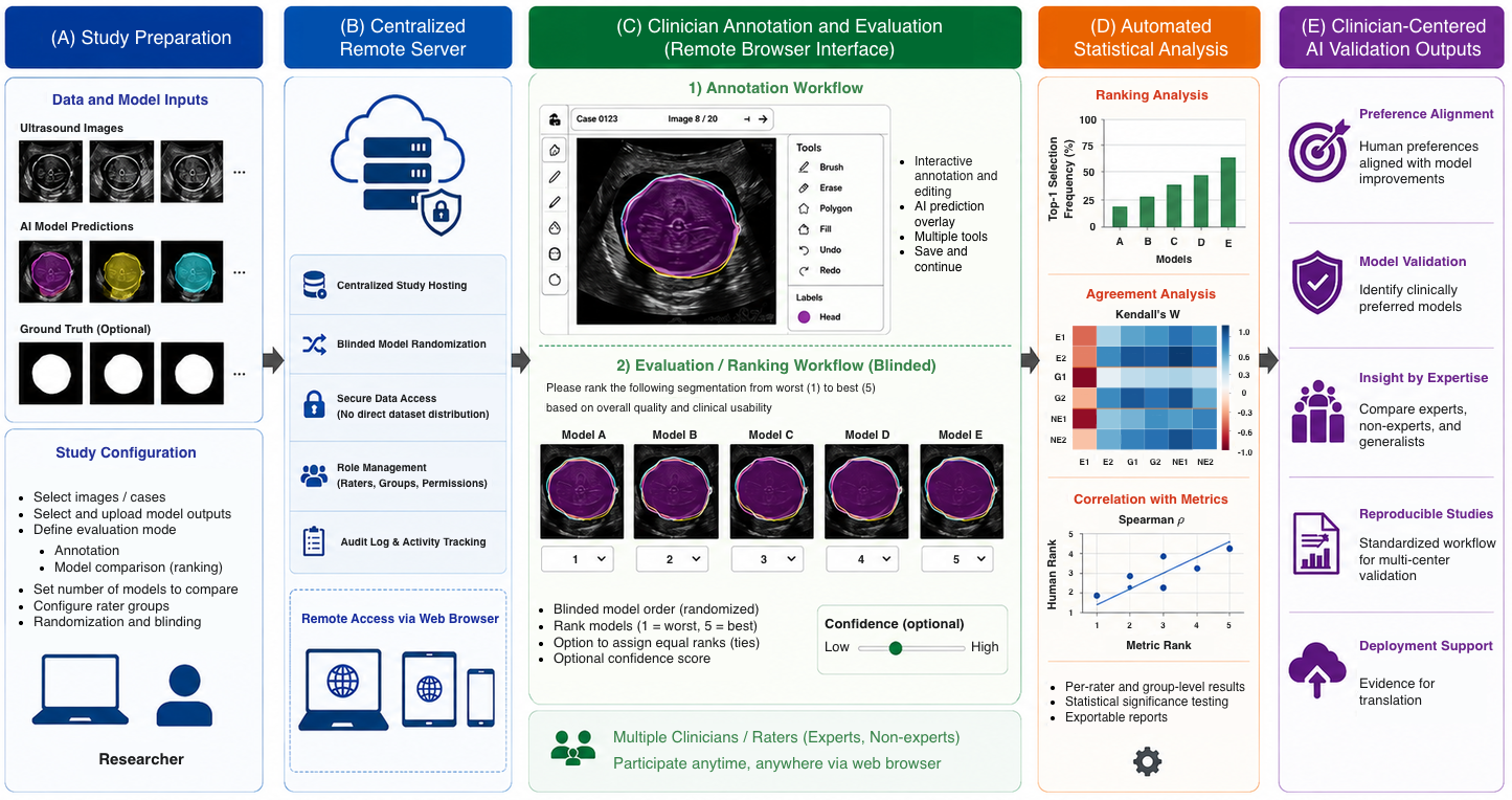 A Clinician-Centered Pipeline for Annotation and Evaluation in Ultrasound AI Studies