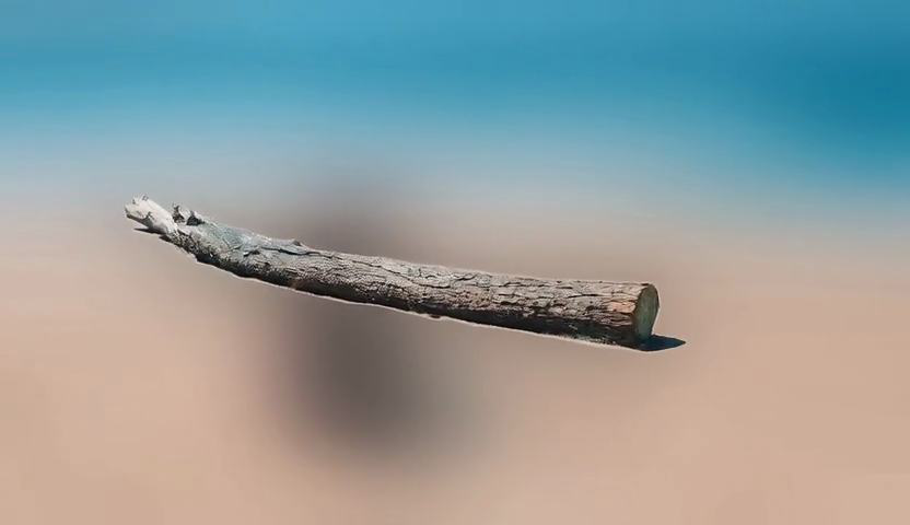 Fig 3