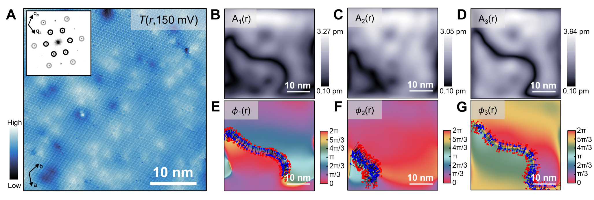 Fig 2