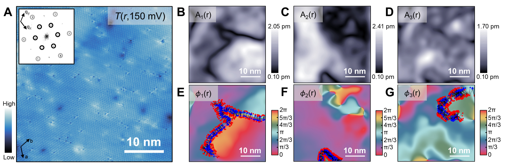 Fig 6