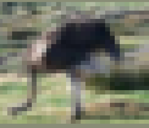 Fig 7