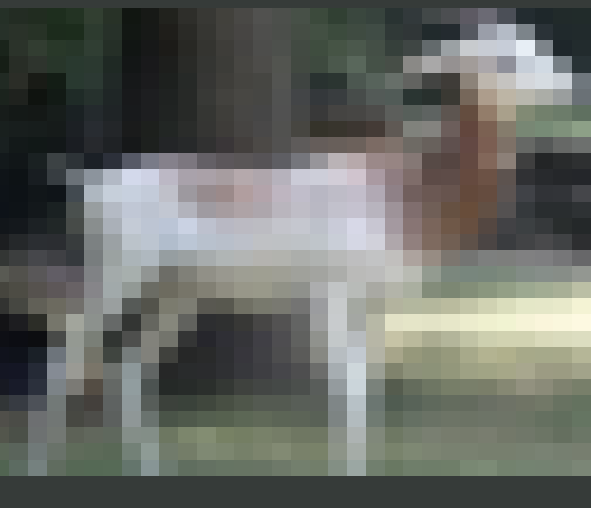 Fig 8