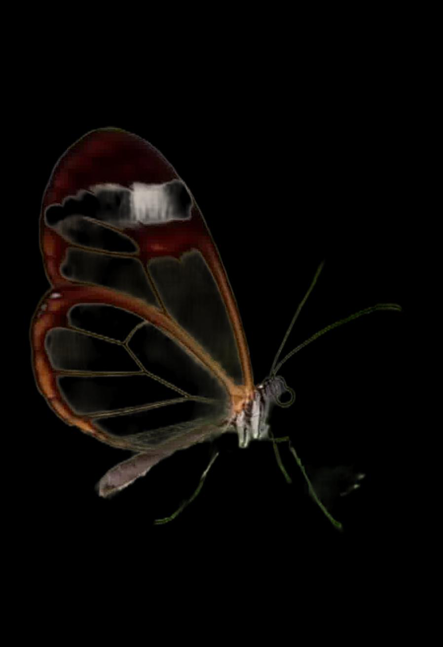 Fig 5