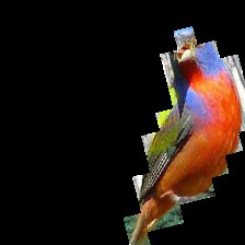 Fig 6