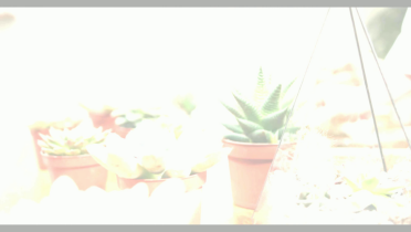 Fig 8