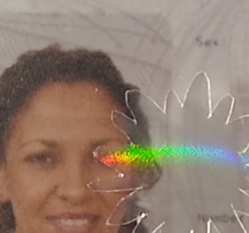 Fig 4