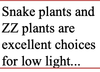 Fig 9