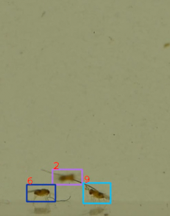 Fig 4