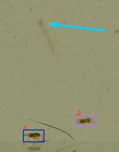 Fig 5