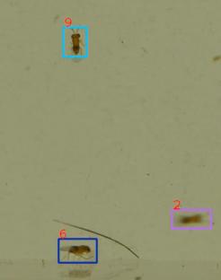 Fig 6