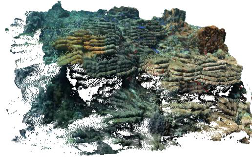 Fig 6