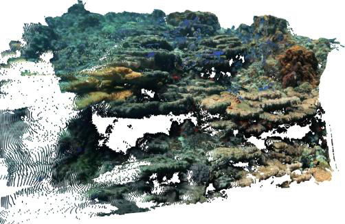 Fig 7