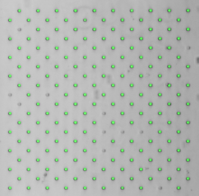 Fig 2
