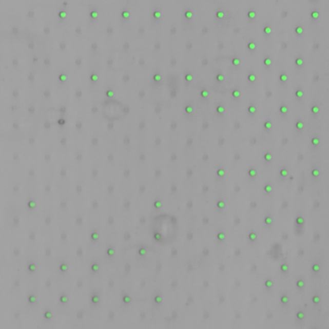 Fig 3