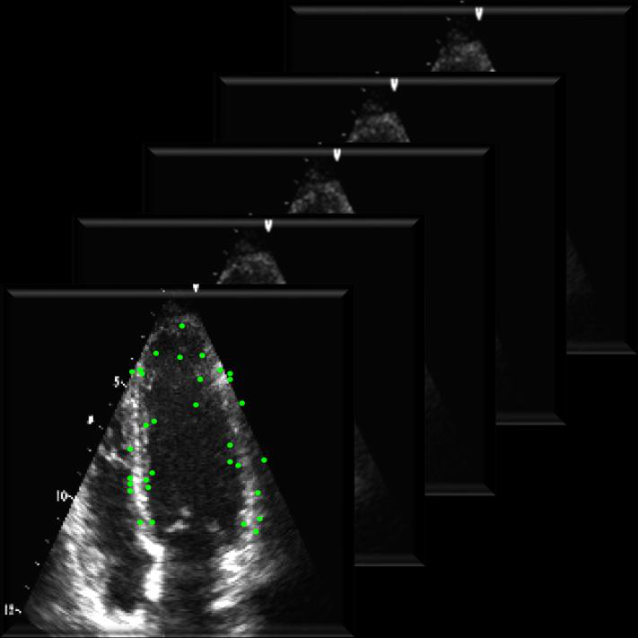 Fig 7