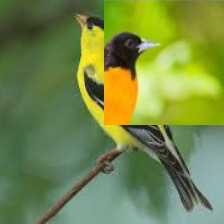 Fig 8