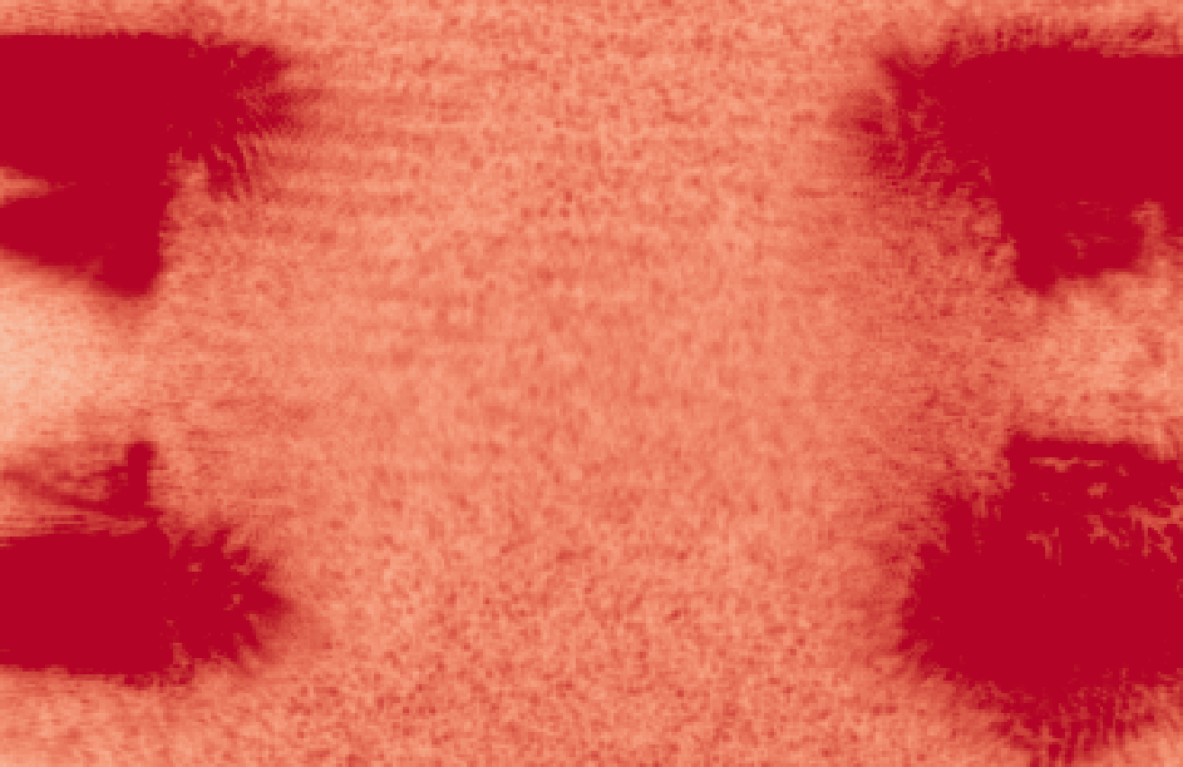 Fig 2