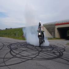 Fig 7