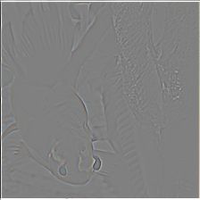 Fig 7
