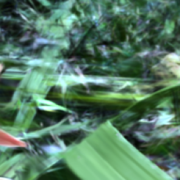 Fig 8