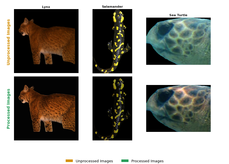Fig 3