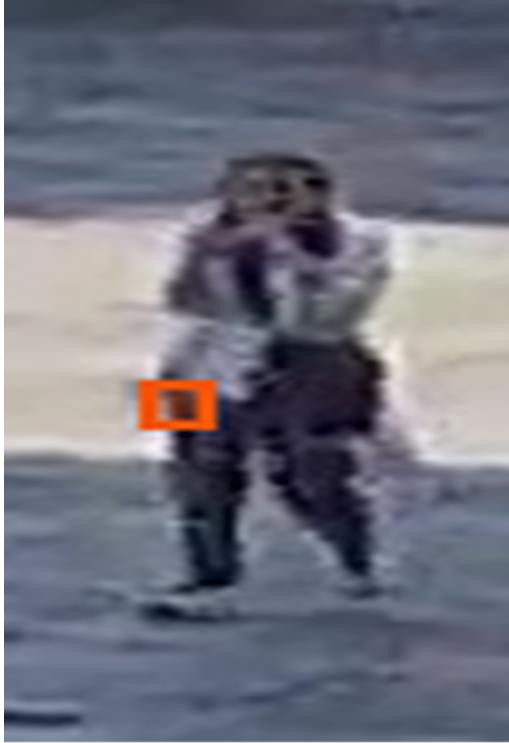 Fig 5