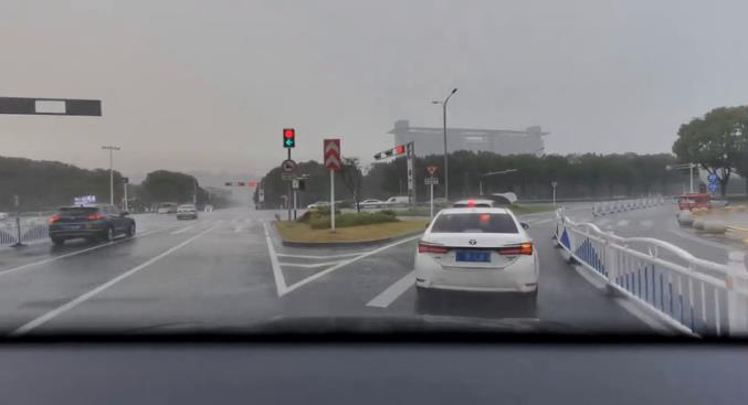 RealWeather: Realistic and Scene-Faithful Weather Translation with Driving World Models