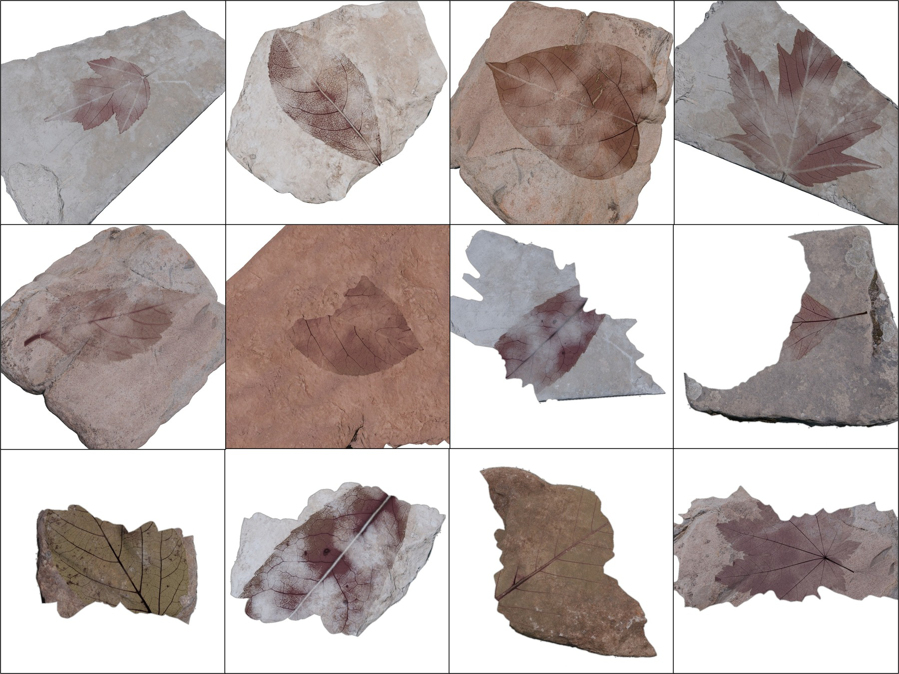 Fig 3